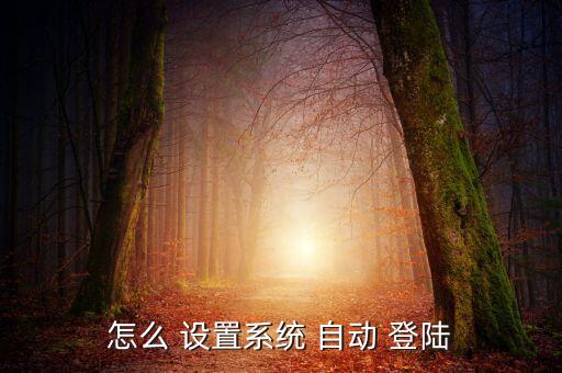 如何設(shè)置自動(dòng)登陸,點(diǎn)擊工具-互聯(lián)網(wǎng)選項(xiàng)即可進(jìn)入瀏覽器