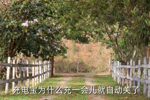  充電寶為什么充一會兒就自動關了
