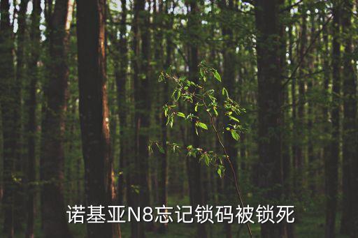 諾基亞n8自動上鎖,忘記鎖屏密碼怎么辦?