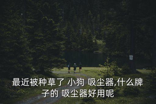 最近被種草了 小狗 吸塵器,什么牌子的 吸塵器好用呢