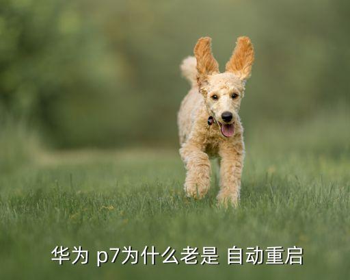 華為p7自動關(guān)機