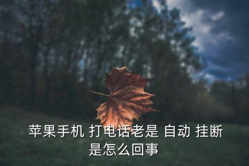 蘋果打電話時(shí)自動(dòng)掛斷,蘋果6s怎么了?一分鐘內(nèi)就自動(dòng)掛斷!
