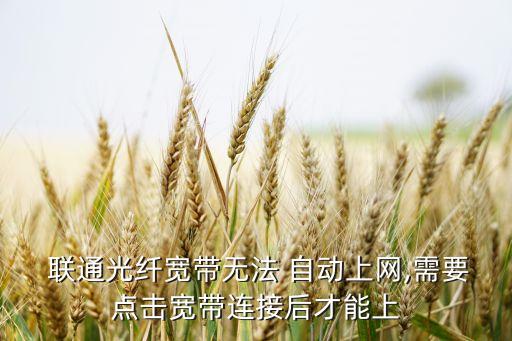聯(lián)通維護(hù)自動(dòng)接單,網(wǎng)絡(luò)出現(xiàn)病例可聯(lián)系網(wǎng)絡(luò)提供商進(jìn)行維修服務(wù)