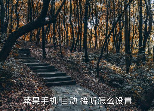  蘋(píng)果手機(jī) 自動(dòng) 接聽(tīng)怎么設(shè)置