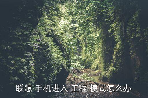 手機開機自動進入工程模式怎么辦,手機進水后存隱患請不要開機