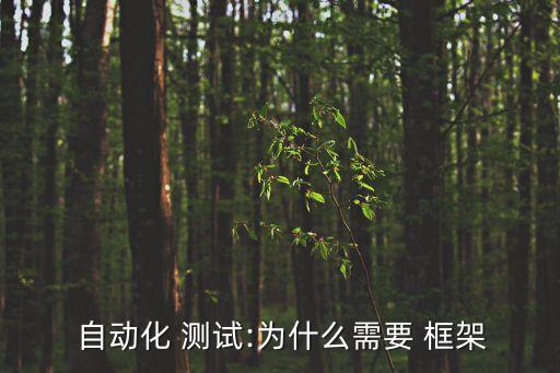  自動(dòng)化 測(cè)試:為什么需要 框架