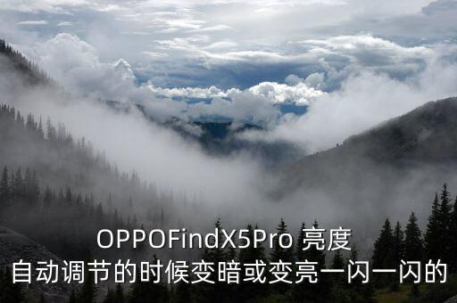 OPPOFindX5Pro 亮度 自動(dòng)調(diào)節(jié)的時(shí)候變暗或變亮一閃一閃的