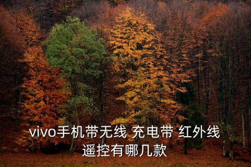 全自動(dòng)紅外充電,2.并聯(lián)一個(gè)電池在充電小時(shí)后繼續(xù)充電