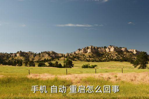 手機溫度高自動重啟,手機頻繁自動重啟或因系統(tǒng)或硬件問題