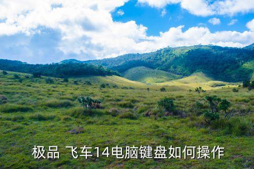 極品飛車14自動駕駛,極品飛車14配置文件夾目錄全英文