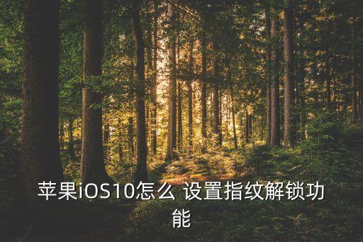 蘋果iOS10怎么 設(shè)置指紋解鎖功能