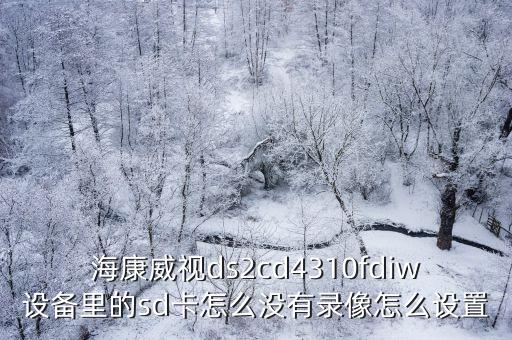 海康威視ds2cd4310fdiw設(shè)備里的sd卡怎么沒有錄像怎么設(shè)置