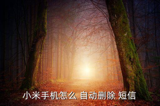 安卓 短信自動清理