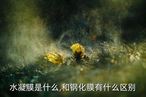 自動(dòng)修復(fù)膜是什么,液壓膜和鋼化膜哪個(gè)好?眼鏡知多少?