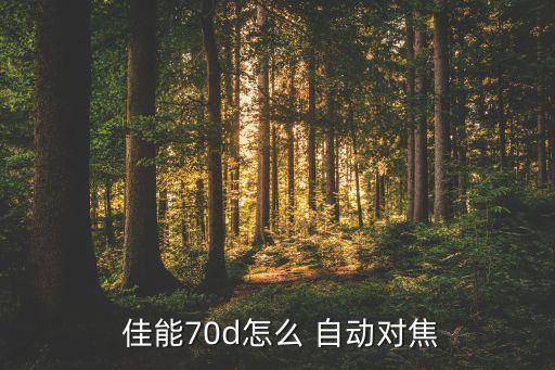 佳能eos700d怎么調(diào)自動