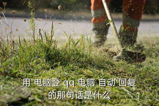 用 電腦登 qq 電腦 自動(dòng) 回復(fù)的那句話是什么