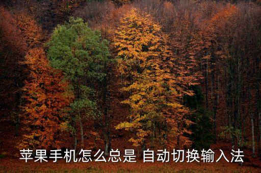 蘋果鍵盤自動(dòng)改意義正,蘋果手機(jī)鍵盤如何改變皮膚?