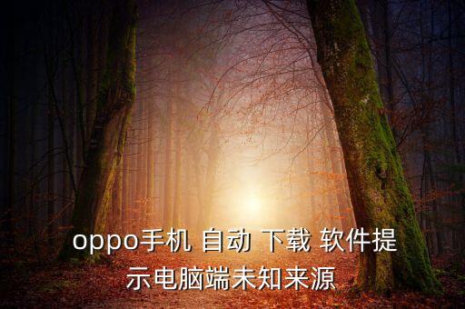  oppo手機 自動 下載 軟件提示電腦端未知來源