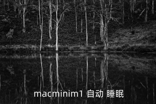 mac 睡眠 自動亮