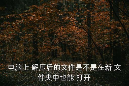 解壓后自動打開文件夾,如何在安全文件夾中找到提取文件?