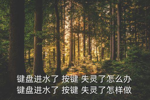  鍵盤進(jìn)水了 按鍵 失靈了怎么辦 鍵盤進(jìn)水了 按鍵 失靈了怎樣做