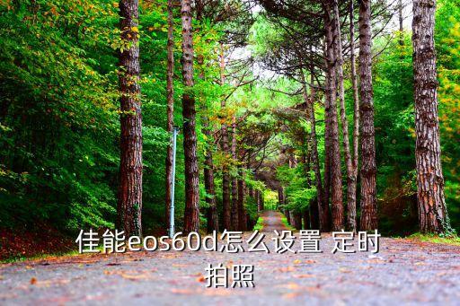 佳能40d自動(dòng)定時(shí)拍照