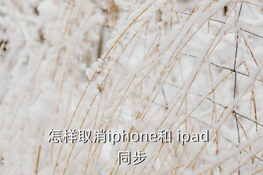 ipad自動同步,如何確保與iphone同步?