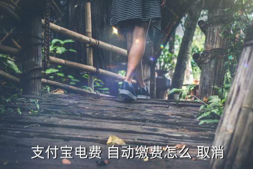 android 支付寶自動(dòng)取消支付,怎么用自動(dòng)支付?