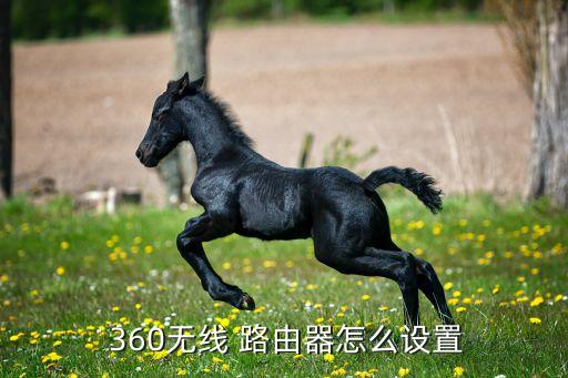 360路由寬帶自動(dòng)上網(wǎng)嗎,網(wǎng)絡(luò)路由device怎么設(shè)置?