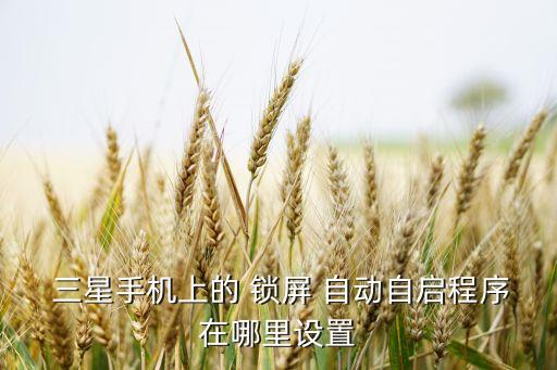  三星手機上的 鎖屏 自動自啟程序在哪里設(shè)置