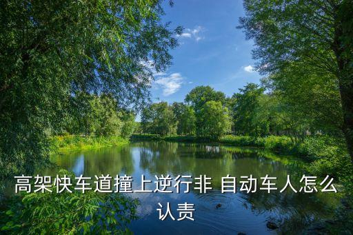 非自動車是什么意思,auto自動擋汽車非機動車主要負責任