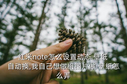  紅米note怎么設(shè)置動(dòng)態(tài) 壁紙 自動(dòng)換,我自己想做組圖片做 壁紙?jiān)趺磁? class=