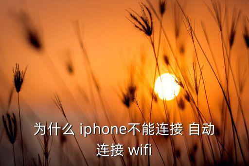 iphone不讓自動加wifi密碼怎么辦