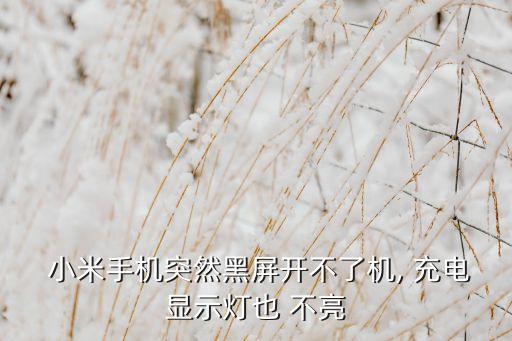  小米手機突然黑屏開不了機, 充電顯示燈也 不亮
