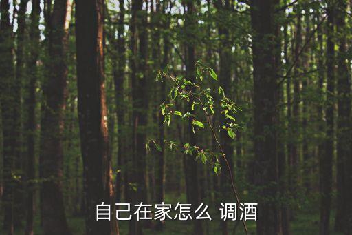 自己在家怎么 調酒