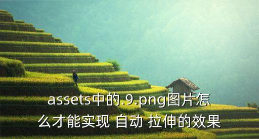 assets中的.9.png圖片怎么才能實(shí)現(xiàn) 自動(dòng) 拉伸的效果