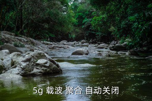 載波聚合會(huì)自動(dòng)開(kāi)啟,5g在手機(jī)設(shè)置里可以支持載波聚合技術(shù)