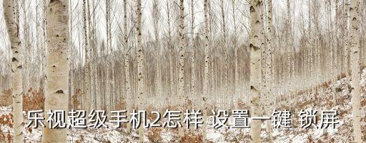 樂2自動鎖屏怎么設置時間,樂視2如何關(guān)閉手機