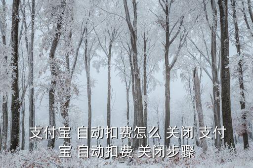 支付寶關(guān)閉自動付款了,支付寶怎么關(guān)閉自動扣?