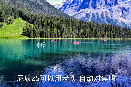 尼康z5可以用老頭 自動對焦嗎