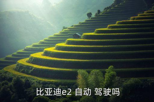 比亞迪 自動駕駛,比亞di自動駕駛技術(shù)樹將解鎖更多新功能
