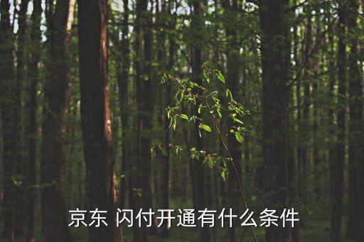  京東 閃付開通有什么條件