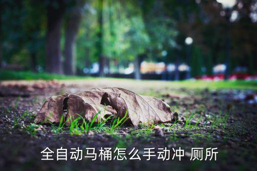  全自動馬桶怎么手動沖 廁所