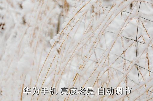  華為手機(jī) 亮度老是 自動調(diào)節(jié)