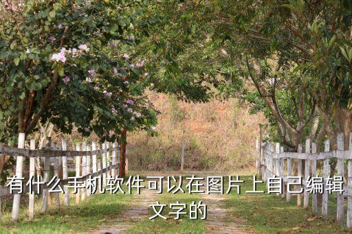 有什么手機軟件可以在圖片上自己編輯 文字的