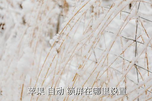  蘋(píng)果 自動(dòng) 鎖屏在哪里設(shè)置