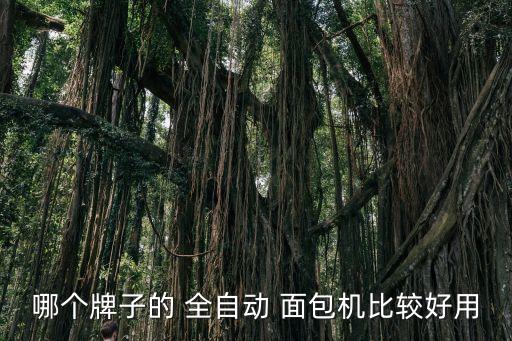 全自動(dòng)面包機(jī)多少錢(qián),面包機(jī)也能做好吃的面包