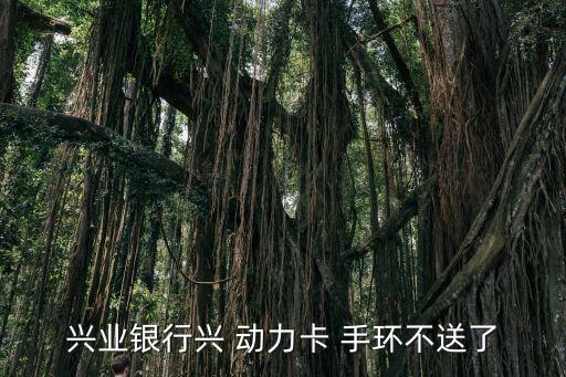 興業(yè)銀行興 動力卡 手環(huán)不送了