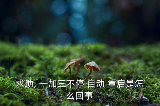 求助, 一加三不停 自動 重啟是怎么回事