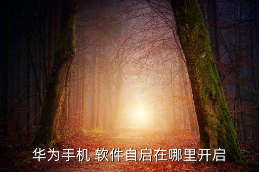 安卓如何自動啟動軟件,如何管理后臺?